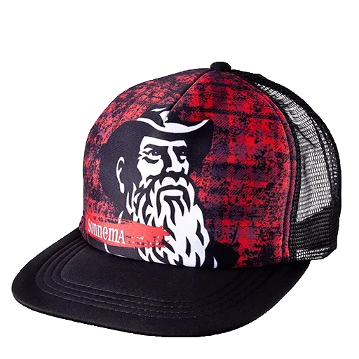 Sonnema Fedde’s Art Cap ’20 pet polyester