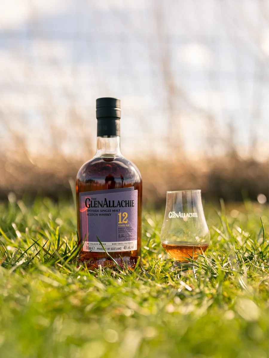 GlenAllachie 12 Year single malt whisky 46% vol fruitig