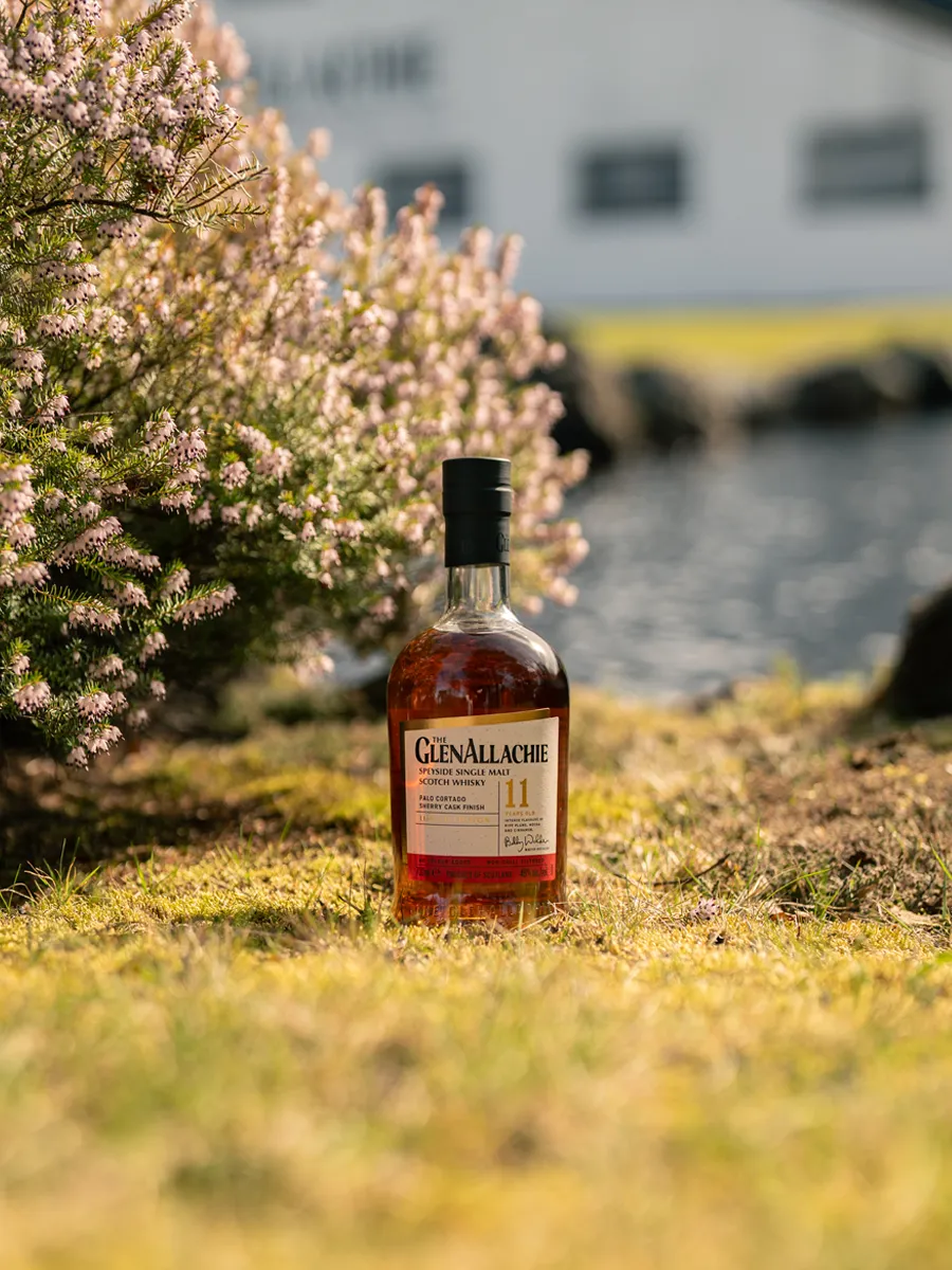 GlenAllachie 11 jaar Palo Cortado whisky sherry 48% zeldzaam